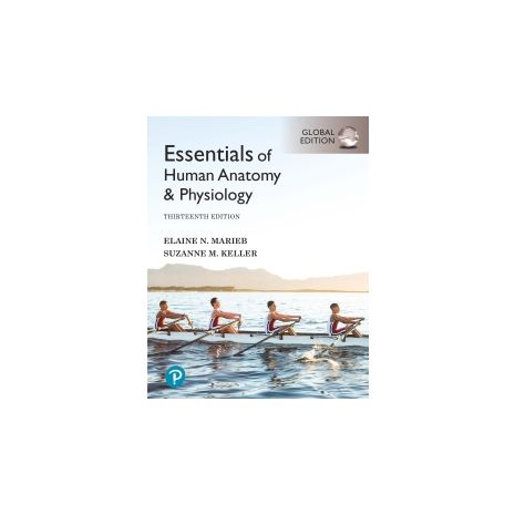 Afbeelding van Essentials of Human Anatomy & Physiology