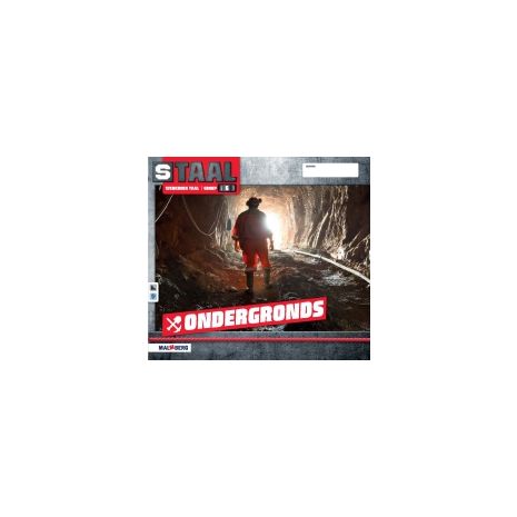 Afbeelding van Staal Taal 2 : Groep 6 : Thema 3+4 Ondergronds/Muziek : Werkboek