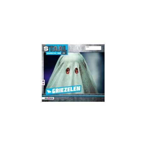 Afbeelding van Staal Taal 2 : Groep 6 : Thema 1+2 Griezelen/Sport : Werkboek
