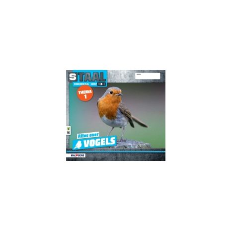 Afbeelding van Staal Taal 2 : Groep 4 : Thema 1+2 Vogels/Kleding : Werkboek