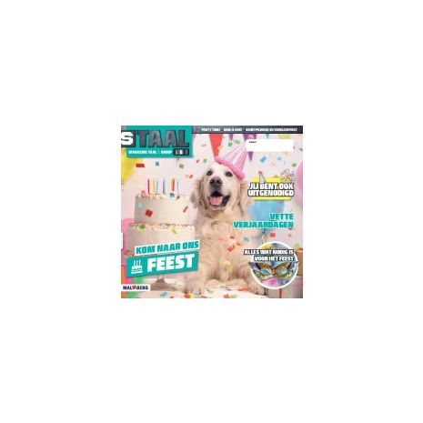 Afbeelding van Staal Taal 2 : Groep 6 : Thema 8 Feest : Magazine Afbeelding van Staal Taal 2 : Groep 6 : Thema 8 Feest : Magazine