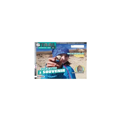 Afbeelding van Staal Taal 2 : Groep 4 : Thema 8 Souvenir : Magazine