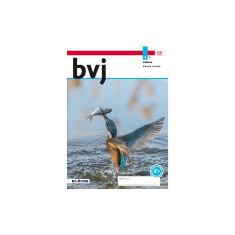 Afbeelding van BVJ 8.0 - MAX - : 4 vmbo-k A : Leerwerkboek