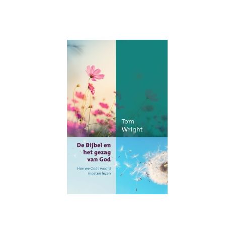 Afbeelding van De bijbel en het gezag van God