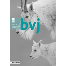 Afbeelding van BVJ 7e ed : 3 vmbo-k B : Werkboek