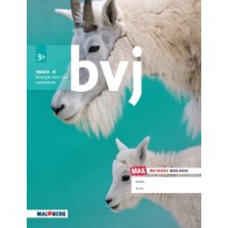 Afbeelding van BVJ - MAX - : 3 vmbo-k A : Werkboek