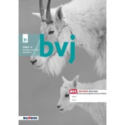 Afbeelding van BVJ - MAX - : 3 vmbo-k B : Werkboek
