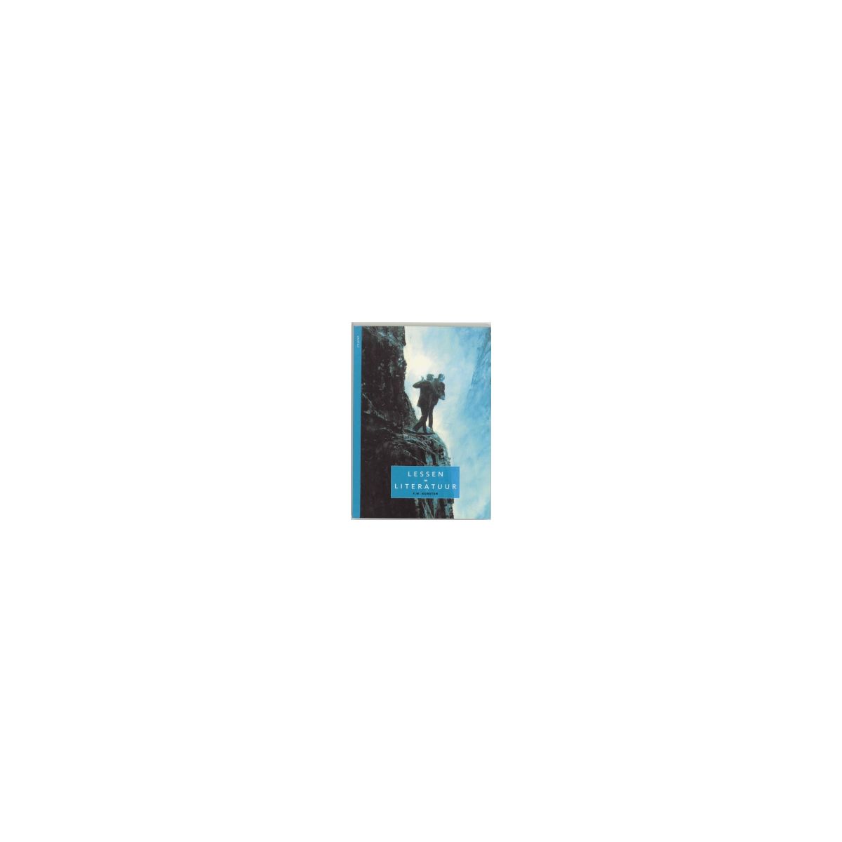 Afbeelding van Lessen in literatuur Afbeelding van Lessen in literatuur