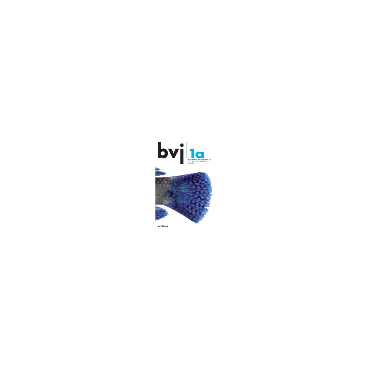 Afbeelding van BVJ 6e dr : 1 vmbo-bk A : Leerwerkboek Afbeelding van BVJ 6e dr : 1 vmbo-bk A : Leerwerkboek