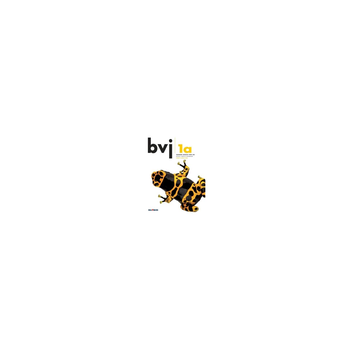 Afbeelding van BVJ 6e dr : 1 vmbo-t/havo/vwo A : Handboek Afbeelding van BVJ 6e dr : 1 vmbo-t/havo/vwo A : Handboek