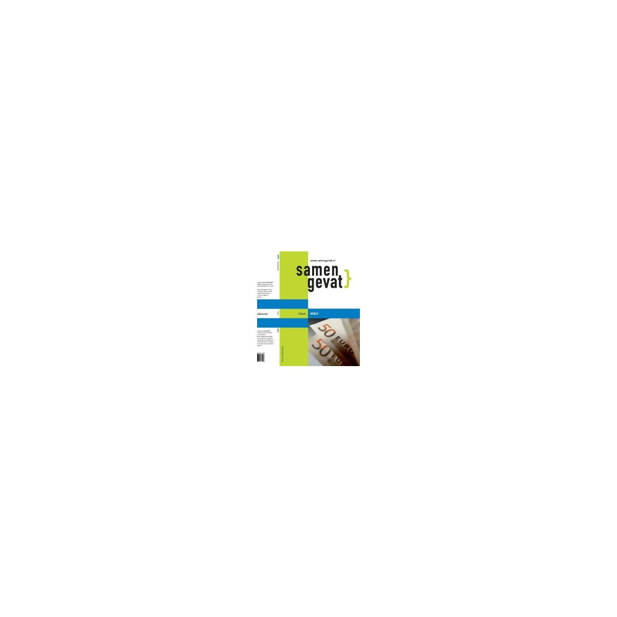 Afbeelding van Samengevat Management & organisatie : havo Afbeelding van Samengevat Management & organisatie : havo
