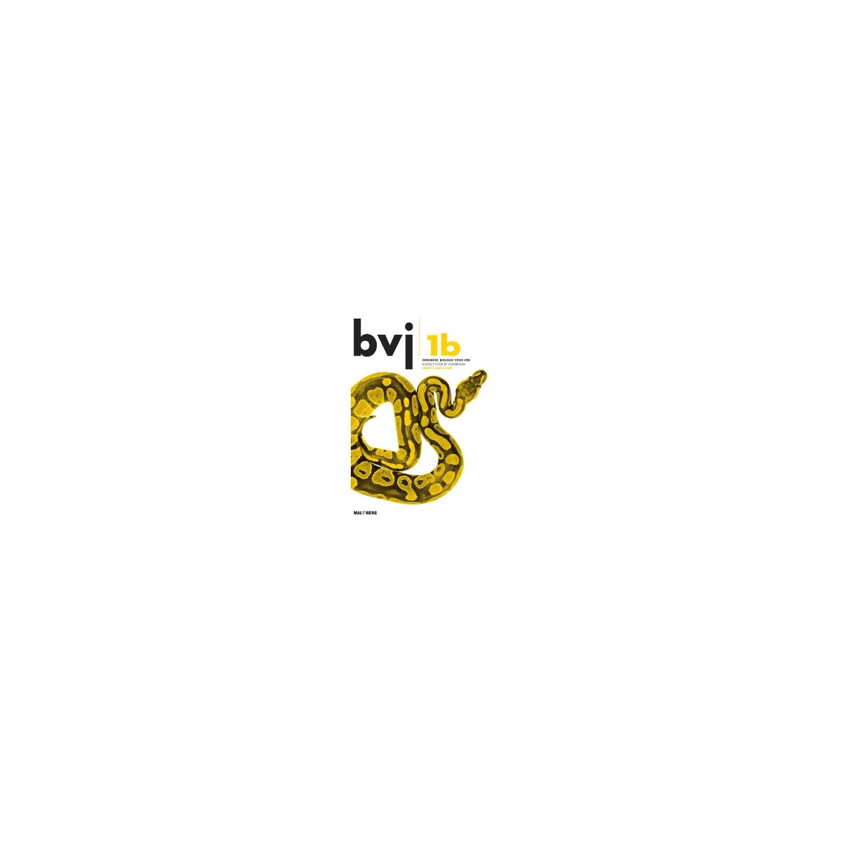 Afbeelding van BVJ 6e dr : 1 vmbo-t/havo/vwo B : Werkboek Afbeelding van BVJ 6e dr : 1 vmbo-t/havo/vwo B : Werkboek