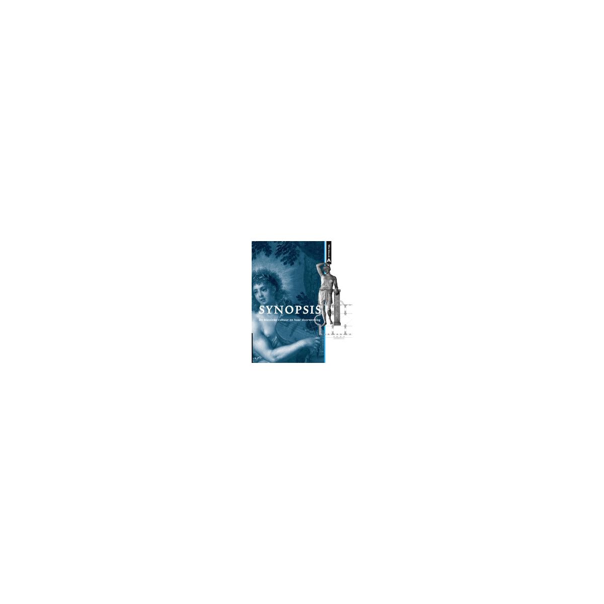 Afbeelding van Synopsis 2e dr : A : Werkboek