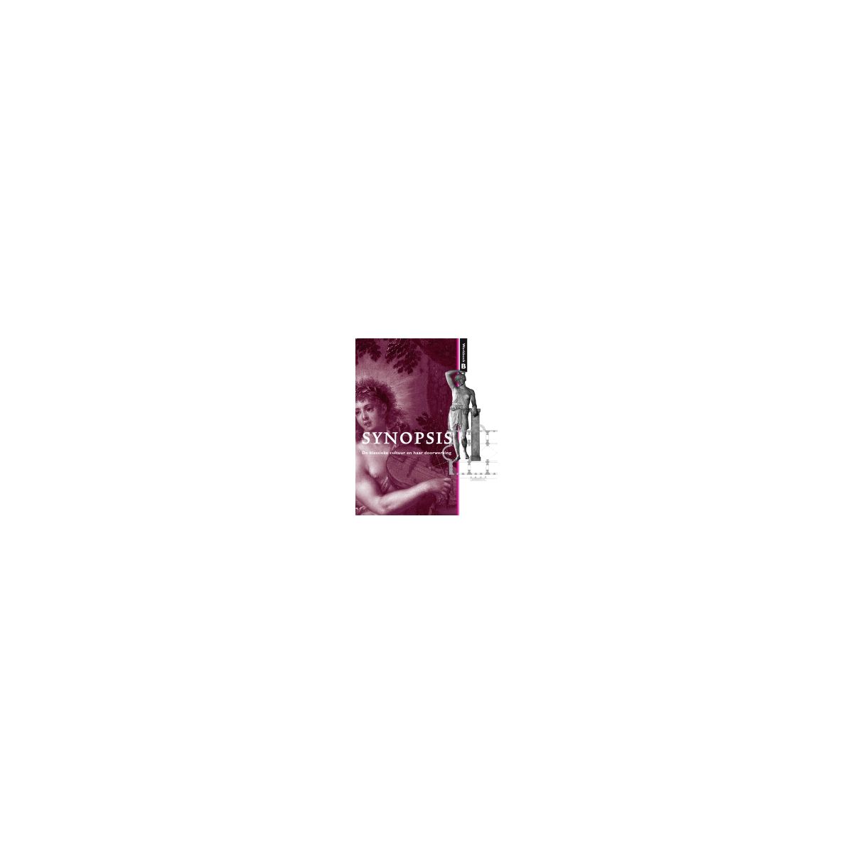 Afbeelding van Synopsis 2e dr : B : Werkboek Afbeelding van Synopsis 2e dr : B : Werkboek