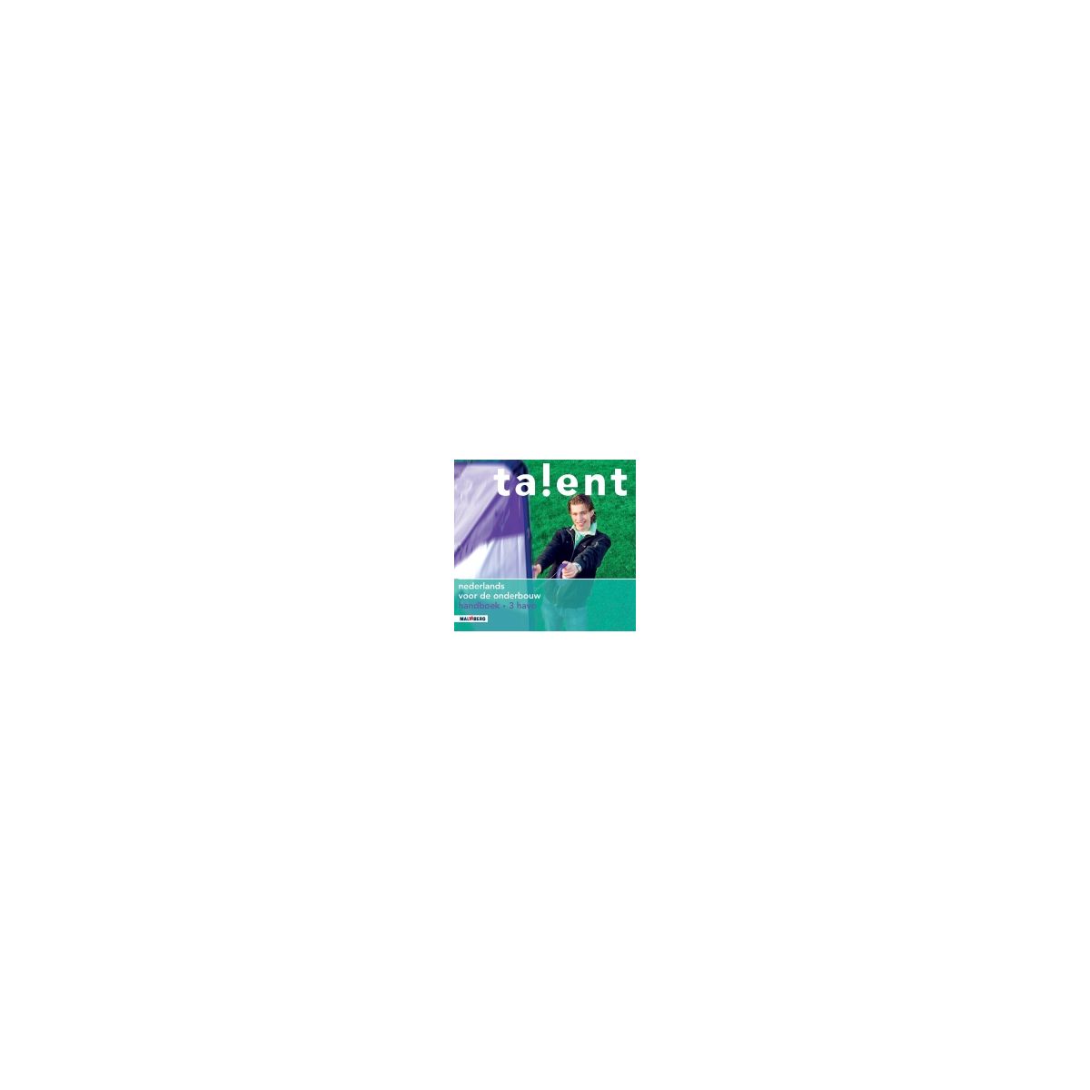 Afbeelding van Talent : 3 havo : Handboek Afbeelding van Talent : 3 havo : Handboek
