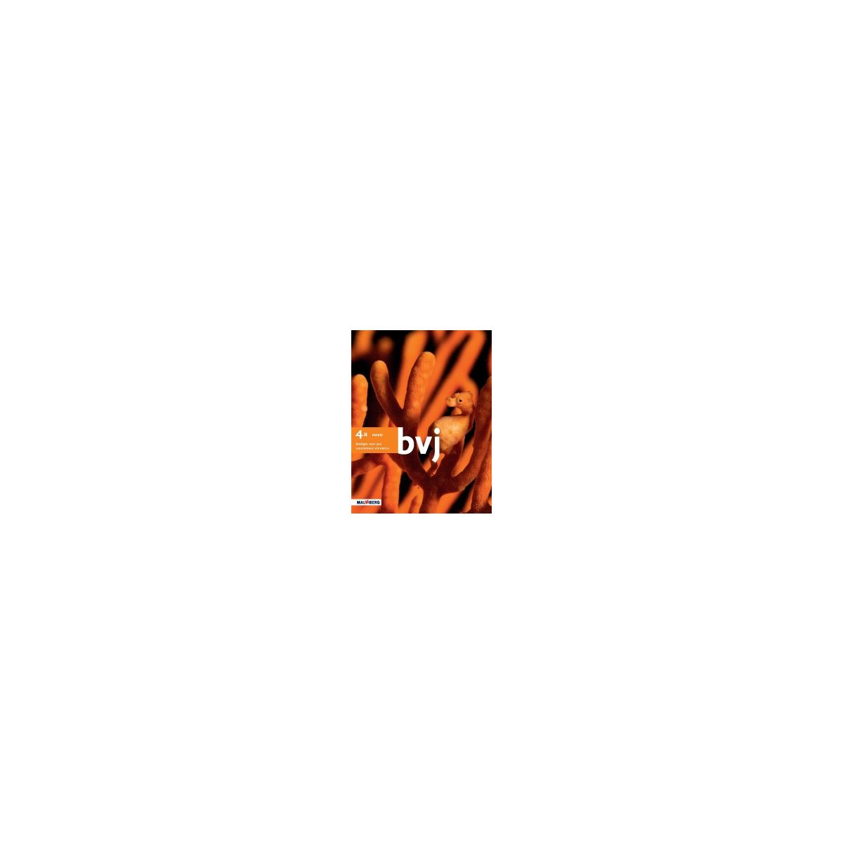 Afbeelding van BVJ 5e dr : 4 havo a : Leeropdrachtenboek Afbeelding van BVJ 5e dr : 4 havo a : Leeropdrachtenboek