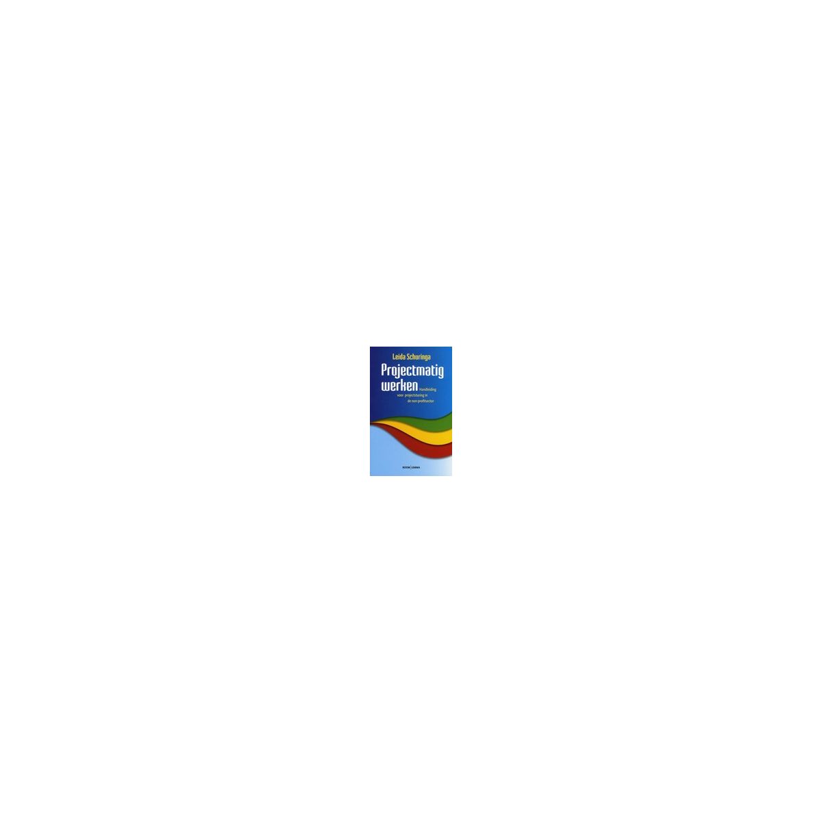 Afbeelding van Projectmatig werken : Handleiding voor projectsturing in de non-profitsector Afbeelding van Projectmatig werken : Handleiding voor projectsturing in de non-profitsector