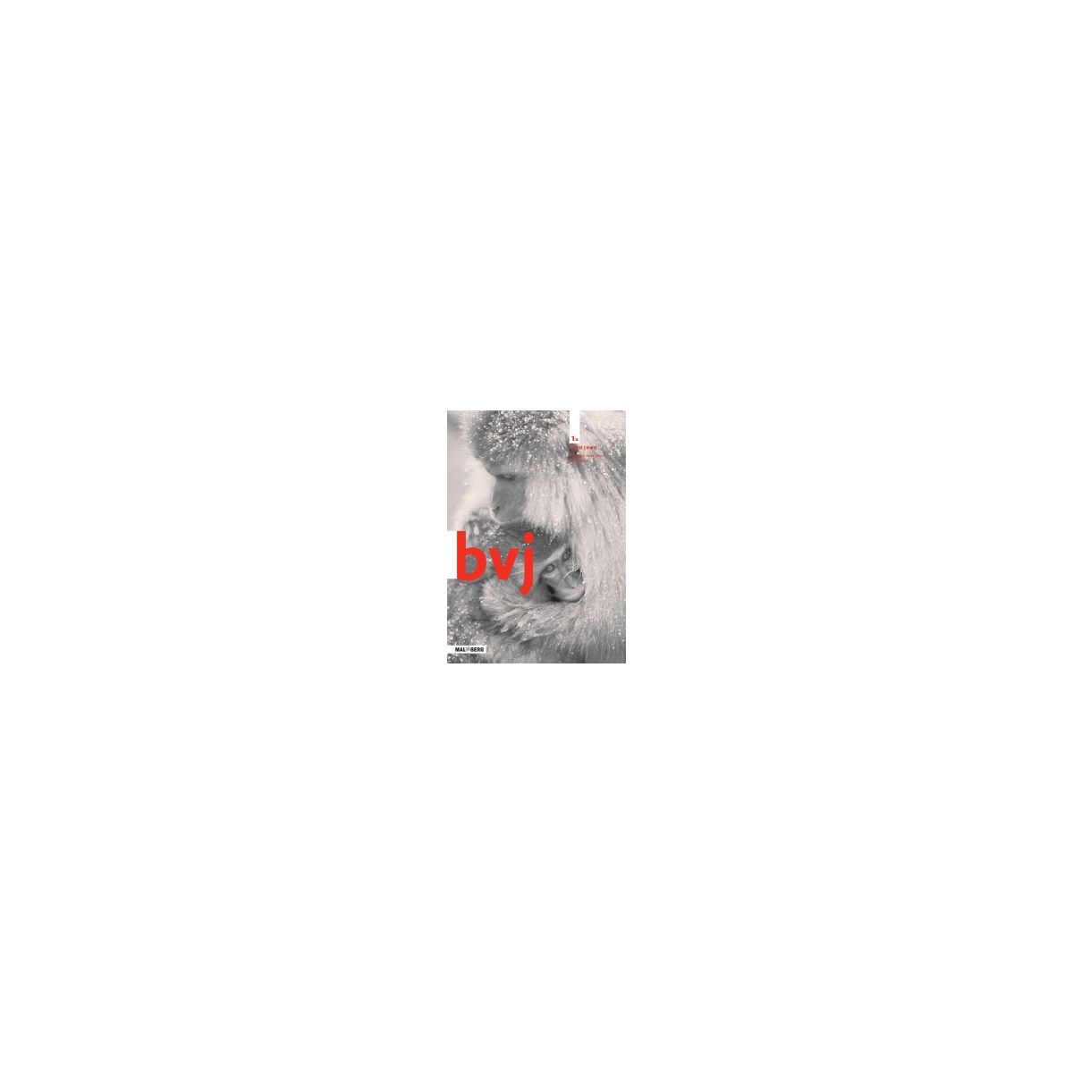 Afbeelding van BVJ 7e ed : 1 havo/vwo A : Werkboek Afbeelding van BVJ 7e ed : 1 havo/vwo A : Werkboek