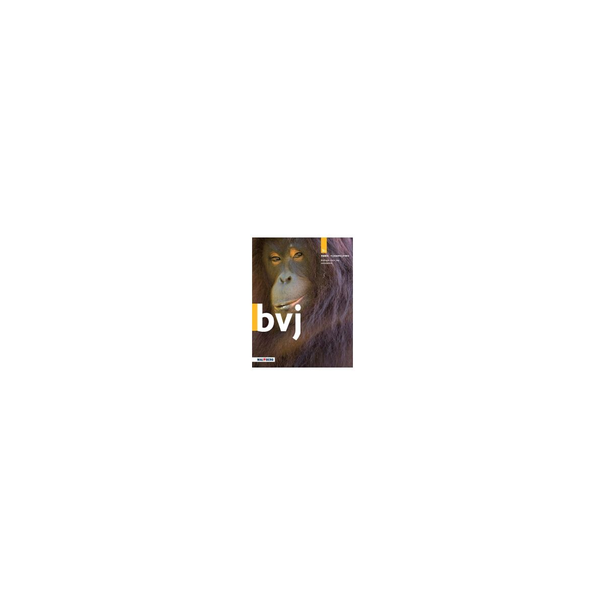 Afbeelding van BVJ 7e ed : 1 vmbo-t/havo/vwo B : Handboek Afbeelding van BVJ 7e ed : 1 vmbo-t/havo/vwo B : Handboek
