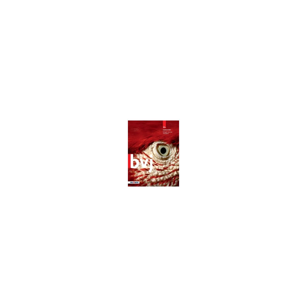 Afbeelding van BVJ 7e ed : 2 havo/vwo A : Handboek Afbeelding van BVJ 7e ed : 2 havo/vwo A : Handboek
