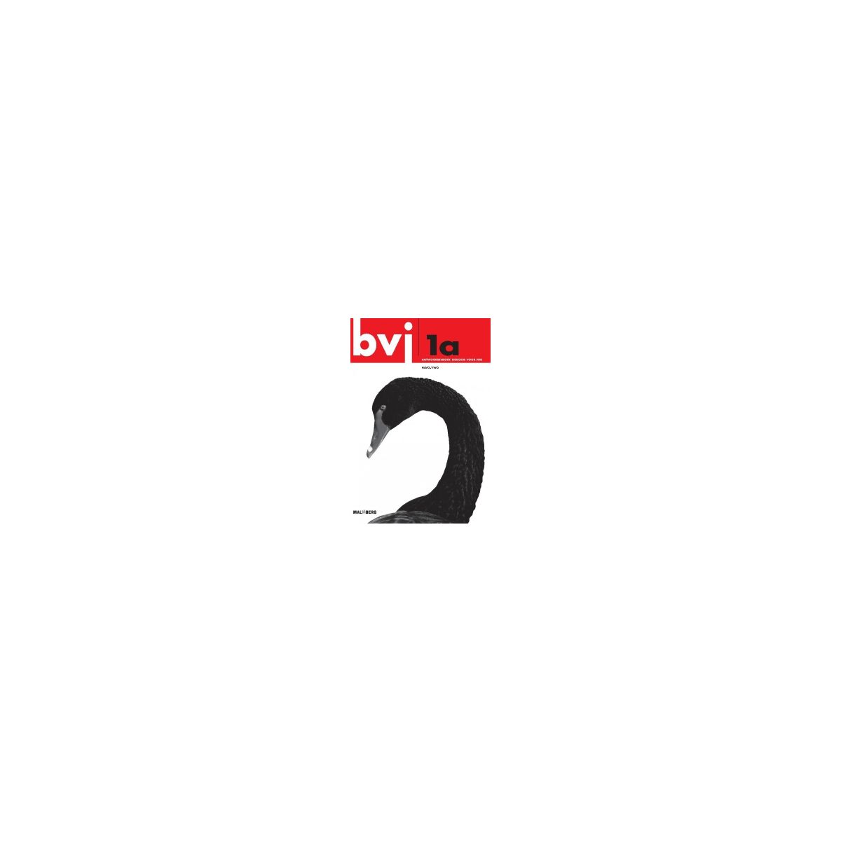 Afbeelding van BVJ 6e ed : 1 havo/vwo A : Antwoordenboek Afbeelding van BVJ 6e ed : 1 havo/vwo A : Antwoordenboek