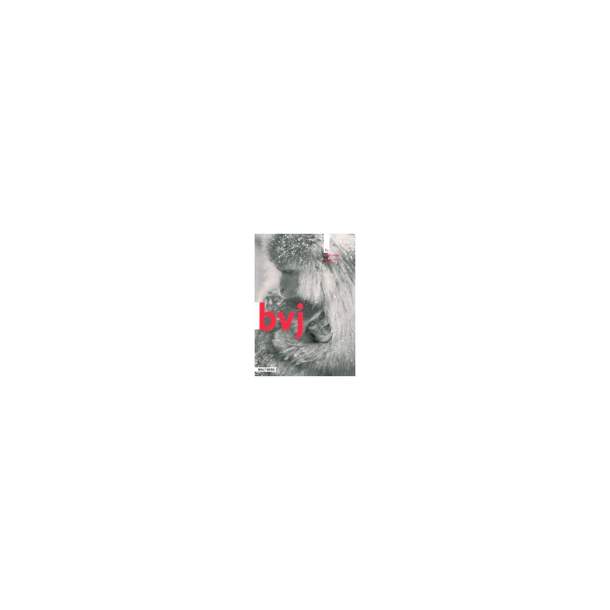 Afbeelding van BVJ 7e ed : 1 havo/vwo AB : Werkboek Afbeelding van BVJ 7e ed : 1 havo/vwo AB : Werkboek