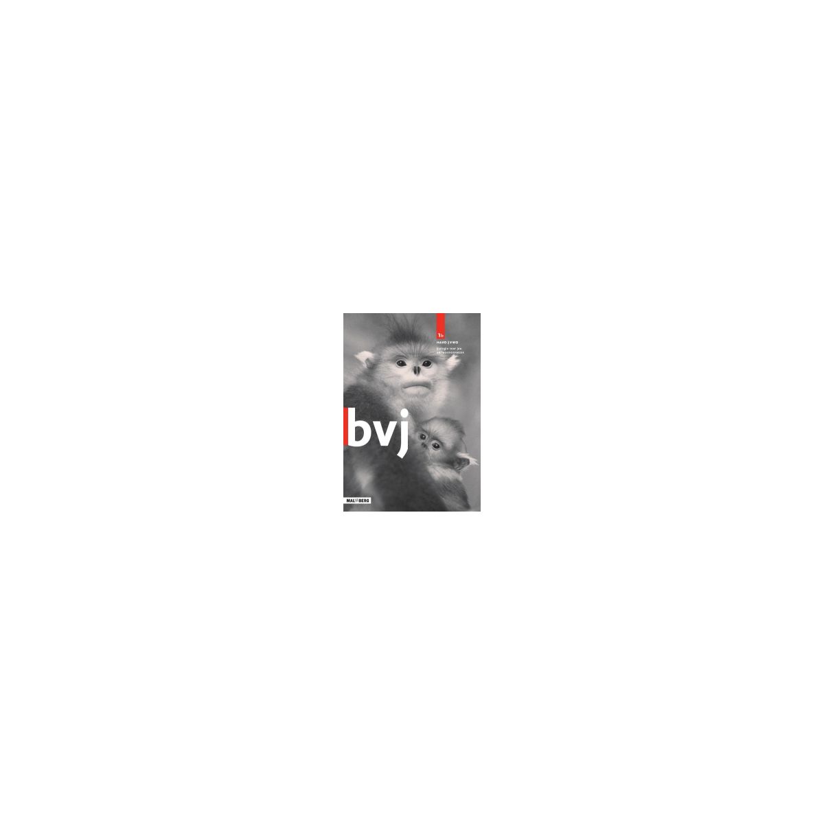 Afbeelding van BVJ 7e ed : 1 havo/vwo B : Antwoordenboek Afbeelding van BVJ 7e ed : 1 havo/vwo B : Antwoordenboek