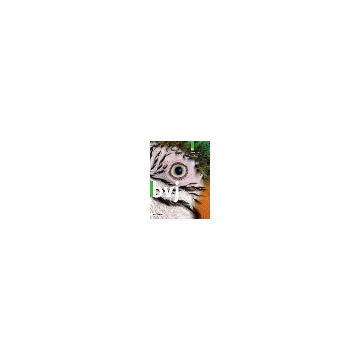Afbeelding van BVJ 7e ed : 2 vmbo-kgt B : Handboek Afbeelding van BVJ 7e ed : 2 vmbo-kgt B : Handboek