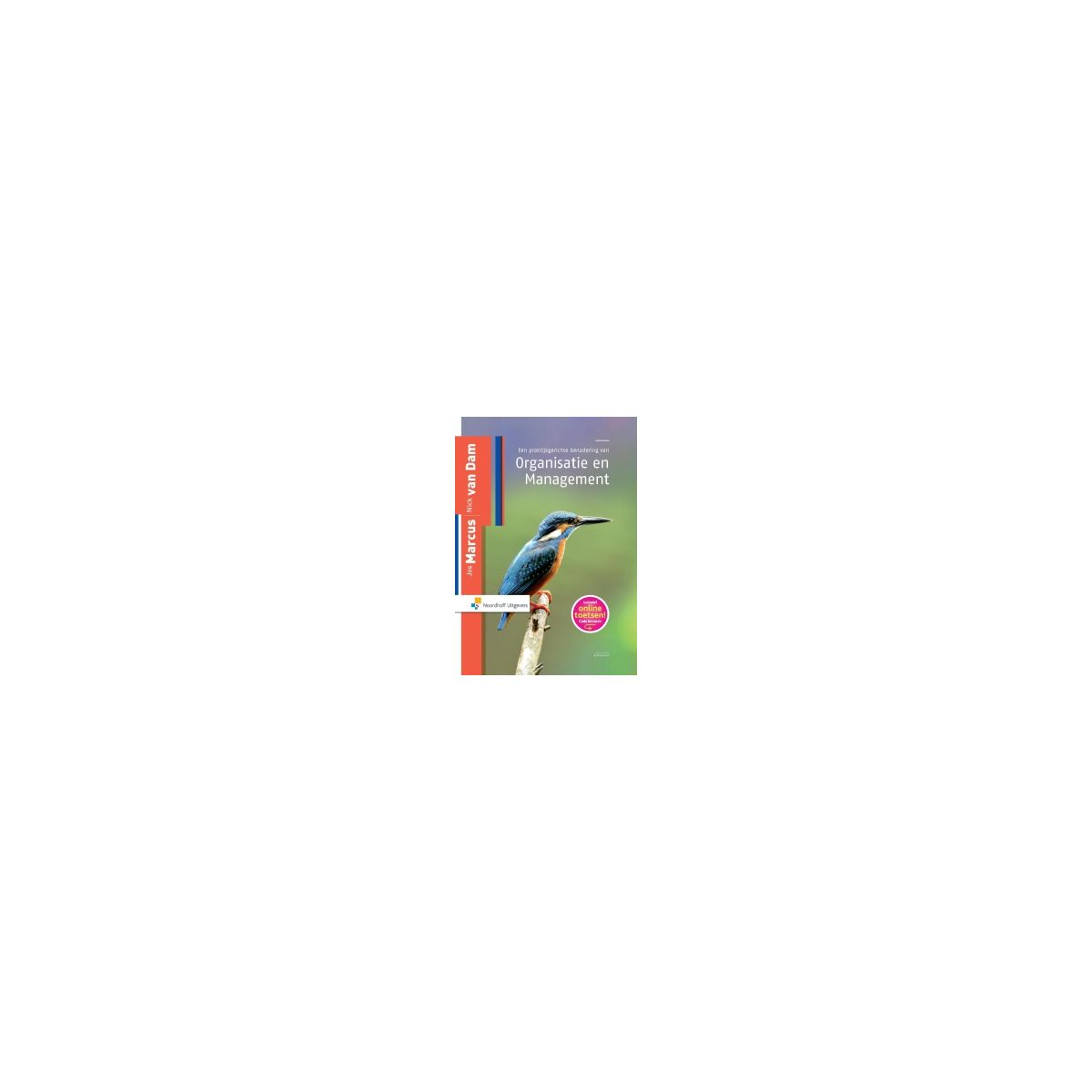 Afbeelding van Een praktijkgerichte benadering van organisatie & management : Studieboek Afbeelding van Een praktijkgerichte benadering van organisatie & management : Studieboek