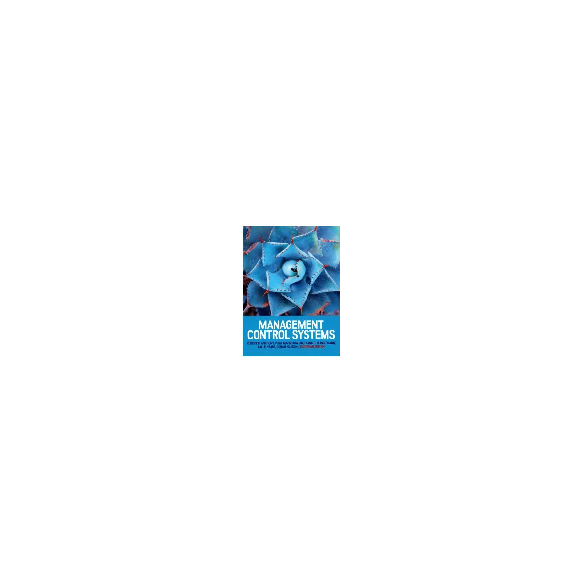 Afbeelding van Management control systems Afbeelding van Management control systems