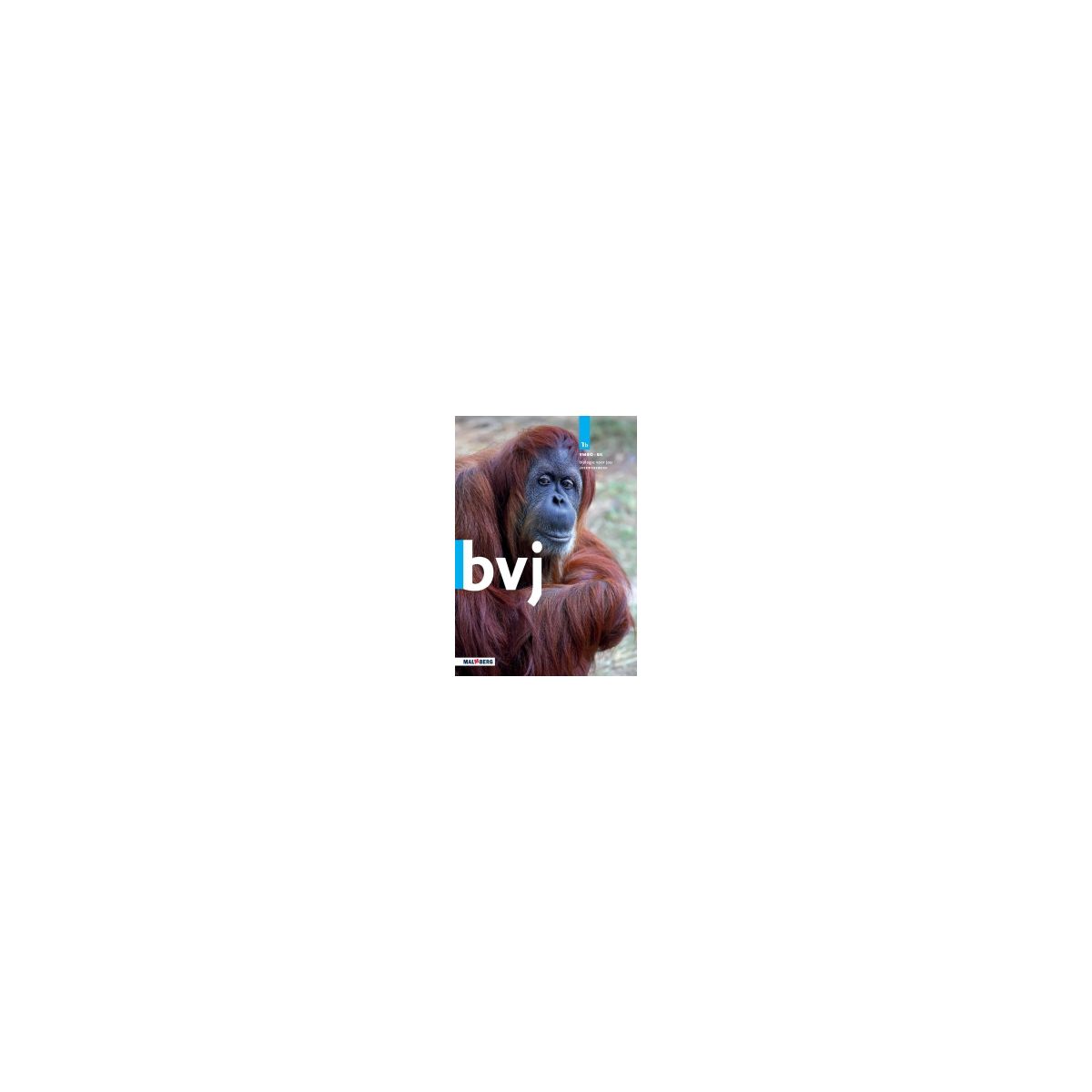 Afbeelding van BVJ 7e ed : 1 vmbo-bk B : Leerwerkboek Afbeelding van BVJ 7e ed : 1 vmbo-bk B : Leerwerkboek