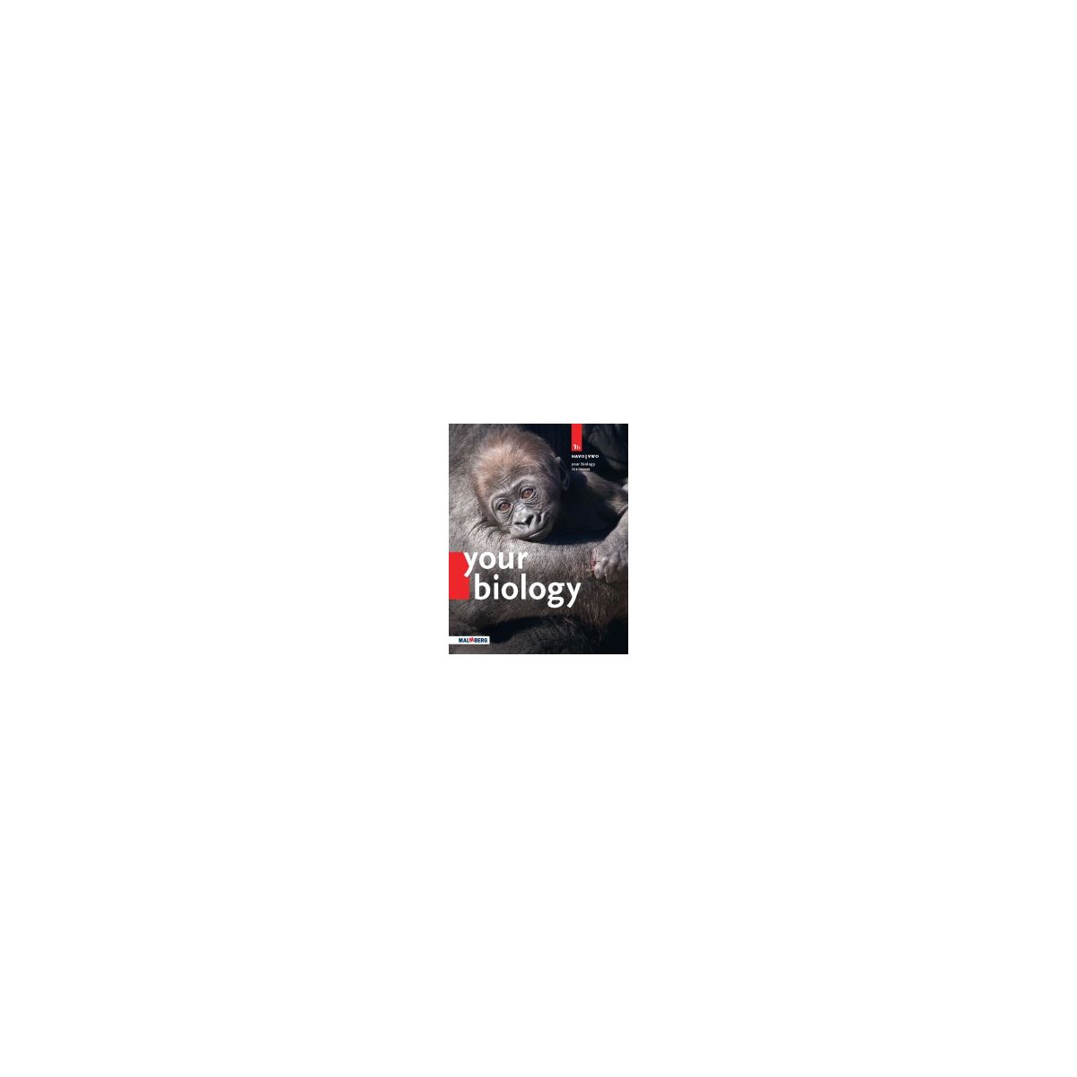 Afbeelding van BVJ Your Biology : 1 havo/vwo B : Textbook Afbeelding van BVJ Your Biology : 1 havo/vwo B : Textbook