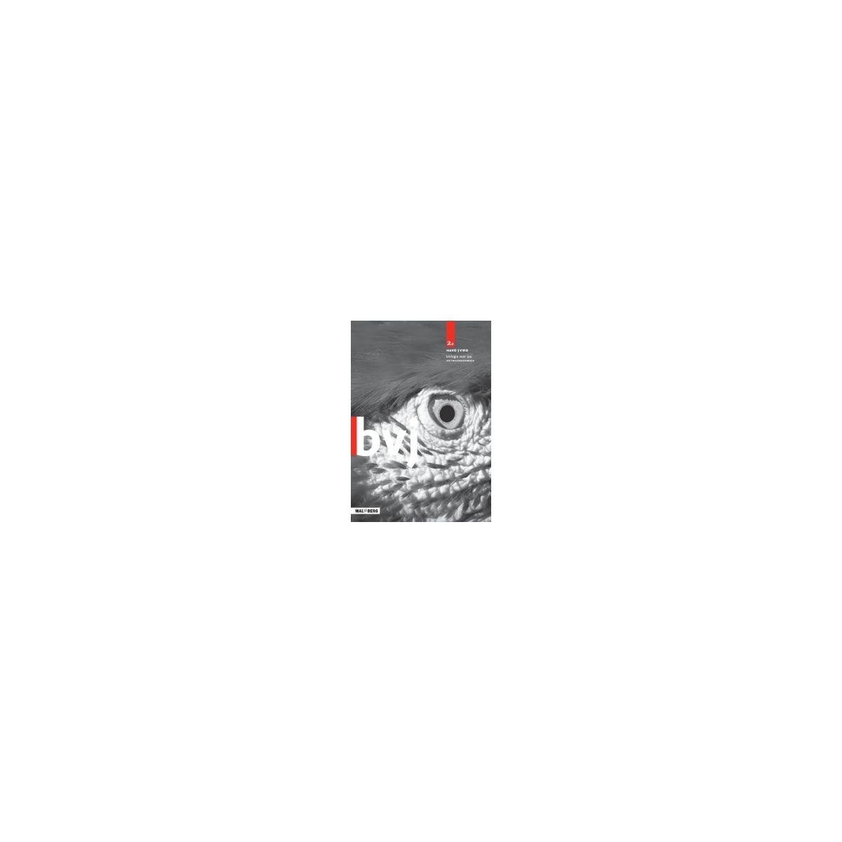 Afbeelding van BVJ 7e ed : 2 havo/vwo A : Antwoordenboek Afbeelding van BVJ 7e ed : 2 havo/vwo A : Antwoordenboek