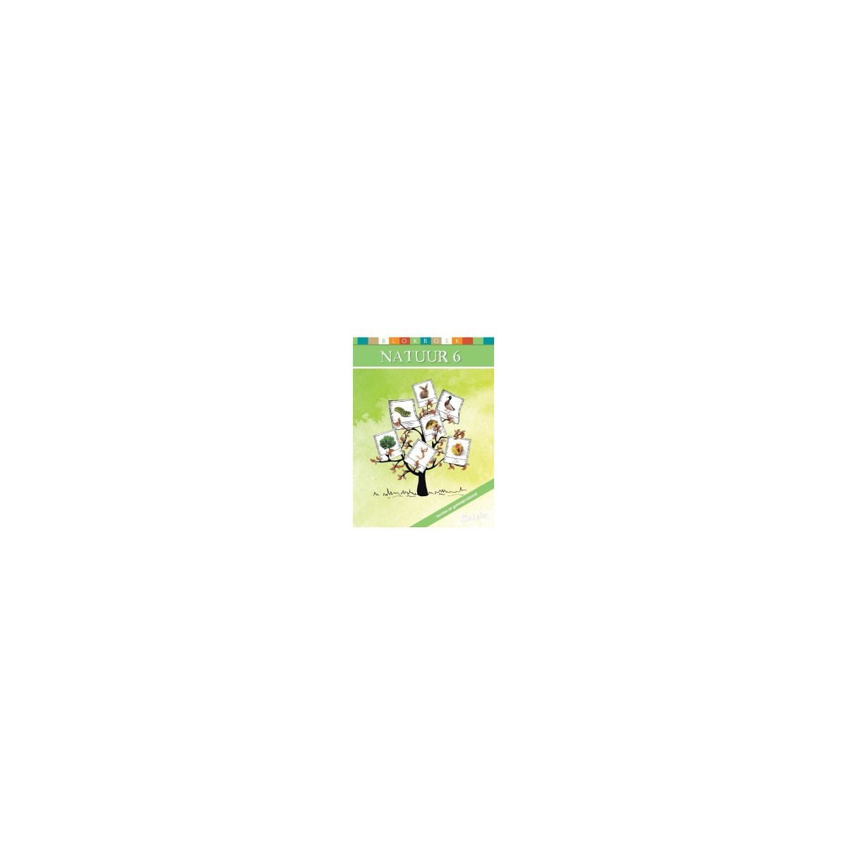 Afbeelding van Blokboek Natuur 2e dr, herz. en gemodern. : Groep 6 Afbeelding van Blokboek Natuur 2e dr, herz. en gemodern. : Groep 6