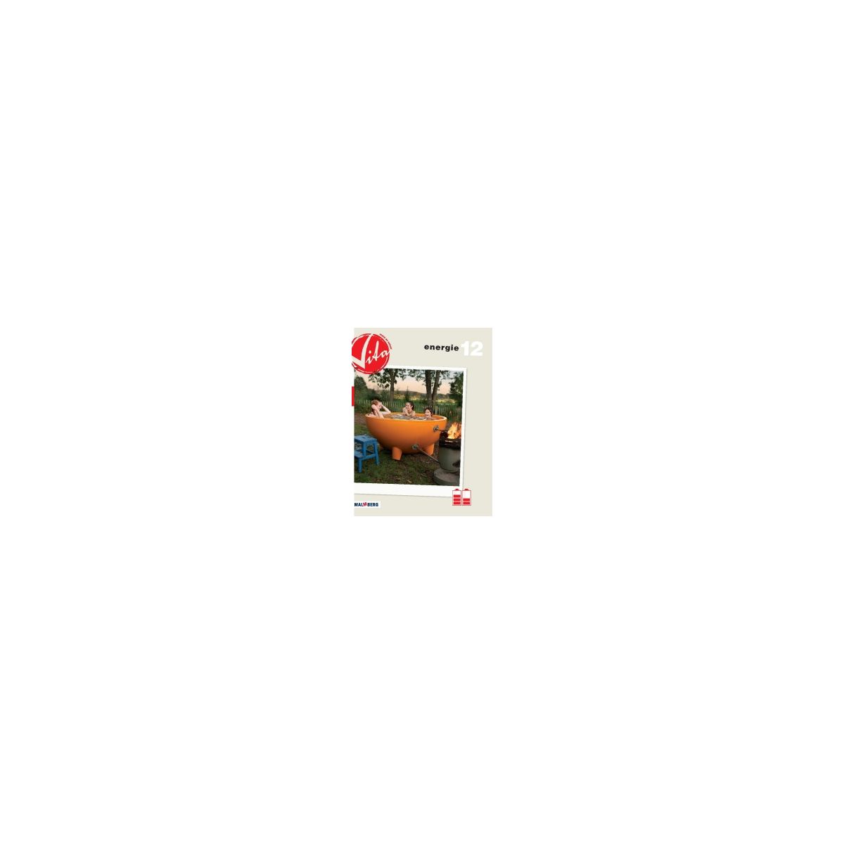 Afbeelding van Vita 2e dr : havo/vwo : Module 12 : Energie : Handboek