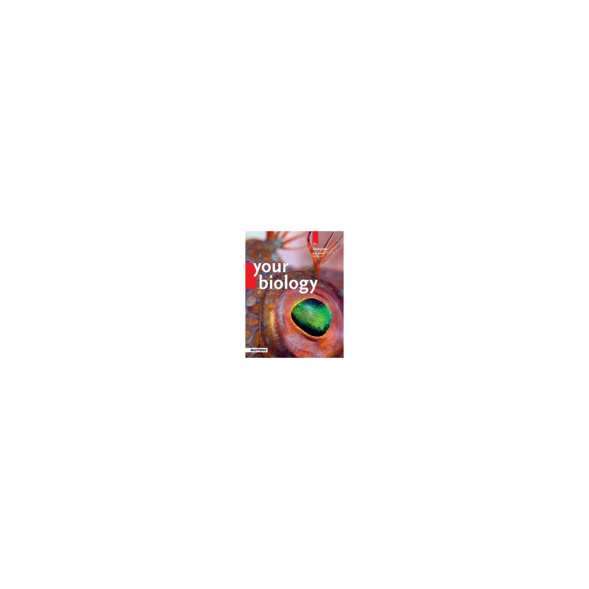 Afbeelding van BVJ Your Biology : 2 havo/vwo A : Textbook Afbeelding van BVJ Your Biology : 2 havo/vwo A : Textbook