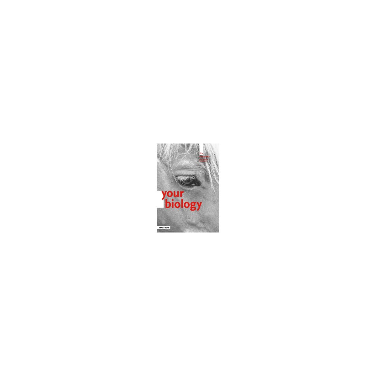 Afbeelding van BVJ Your Biology : 2 havo/vwo B : Workbook Afbeelding van BVJ Your Biology : 2 havo/vwo B : Workbook