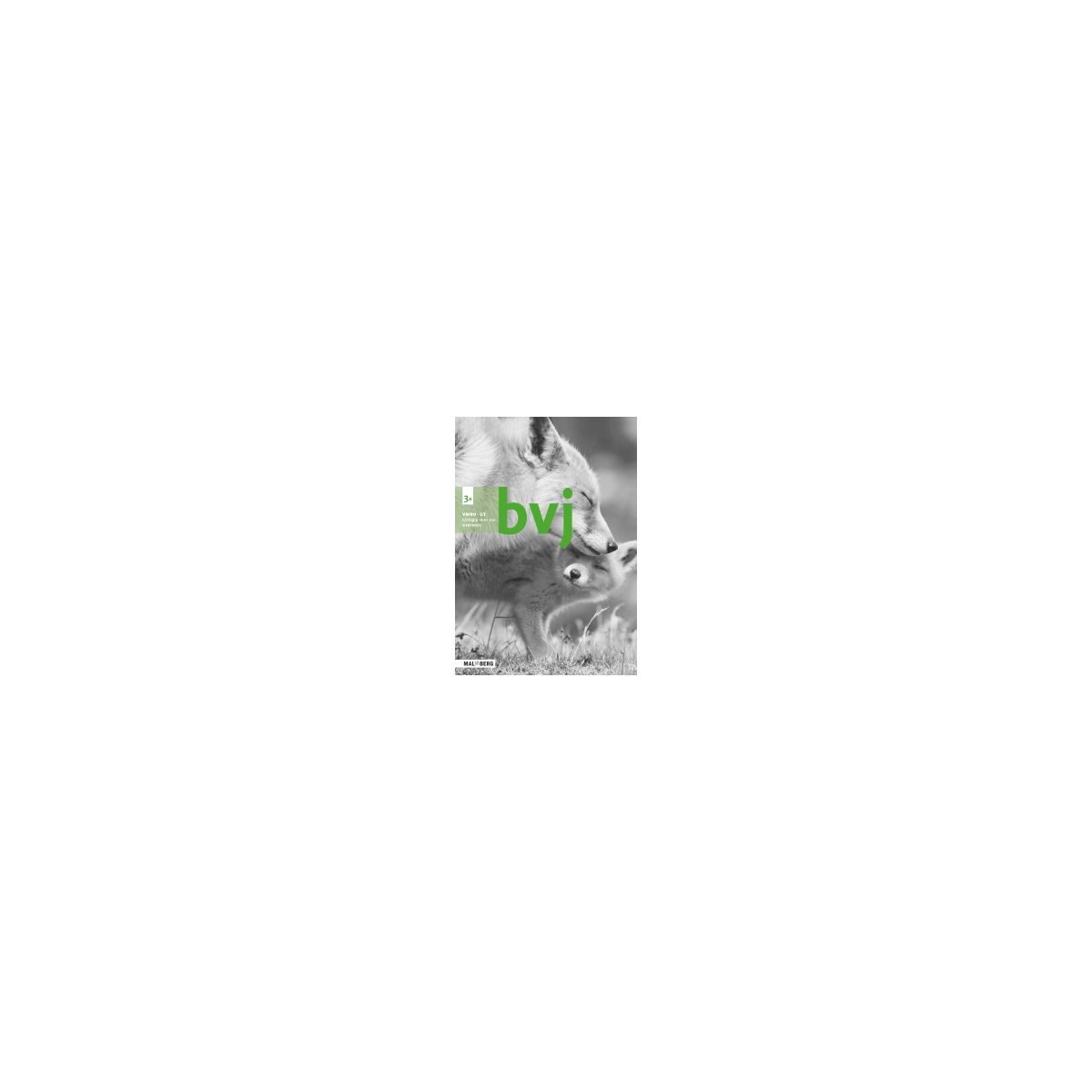 Afbeelding van BVJ 7e ed : 3 vmbo-gt A : Werkboek Afbeelding van BVJ 7e ed : 3 vmbo-gt A : Werkboek