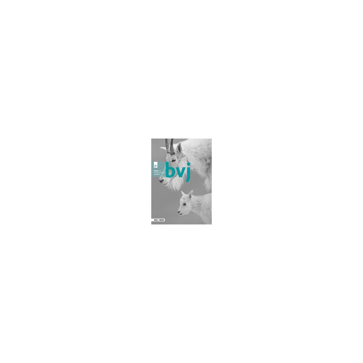 Afbeelding van BVJ 7e ed : 3 vmbo-k B : Werkboek Afbeelding van BVJ 7e ed : 3 vmbo-k B : Werkboek