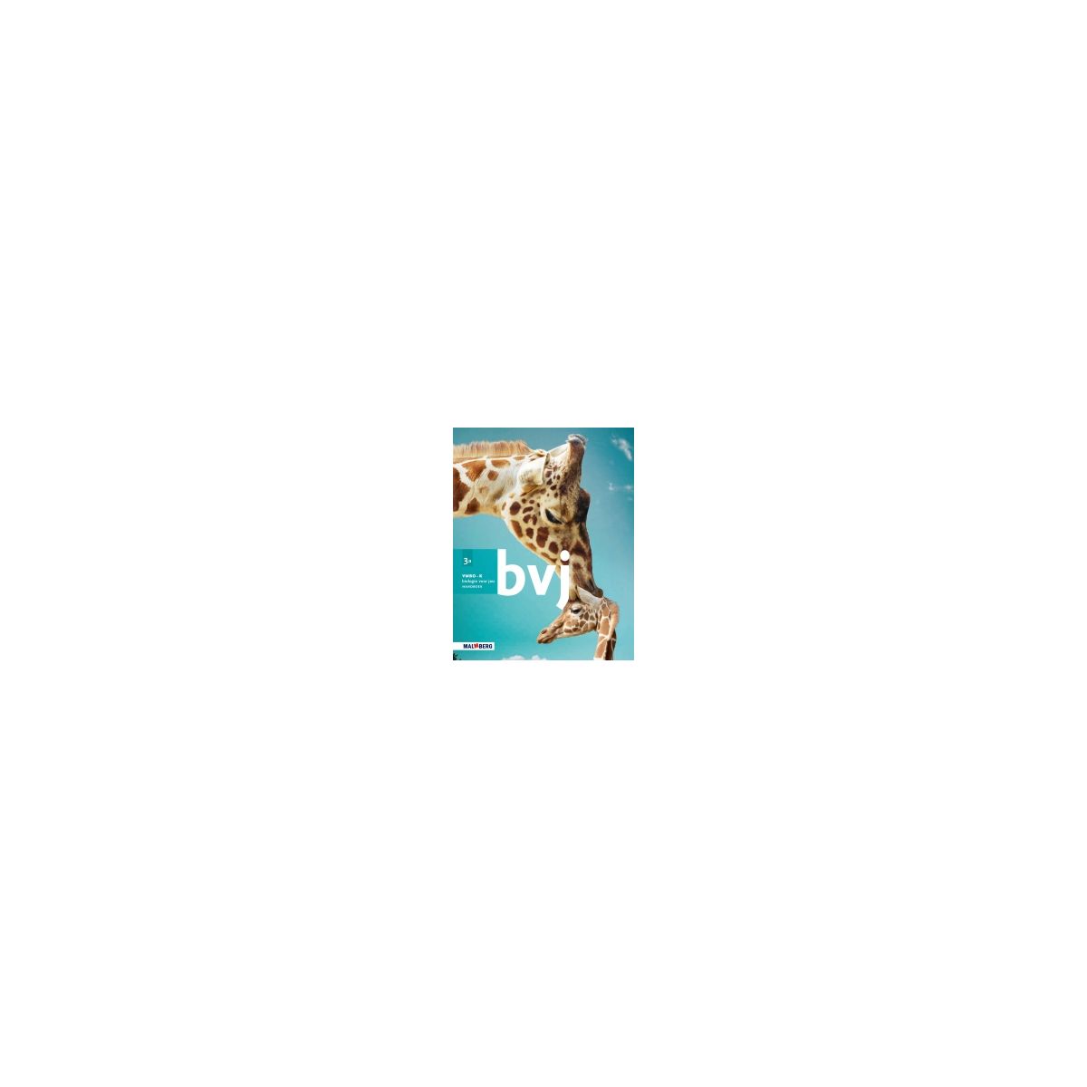 Afbeelding van BVJ 7e ed : 3 vmbo-k A : Handboek