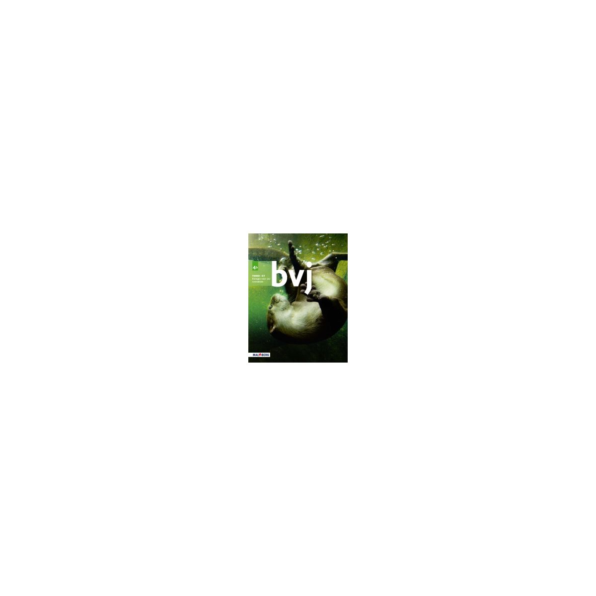 Afbeelding van BVJ 7e ed : 4 vmbo-gt B : Handboek Afbeelding van BVJ 7e ed : 4 vmbo-gt B : Handboek