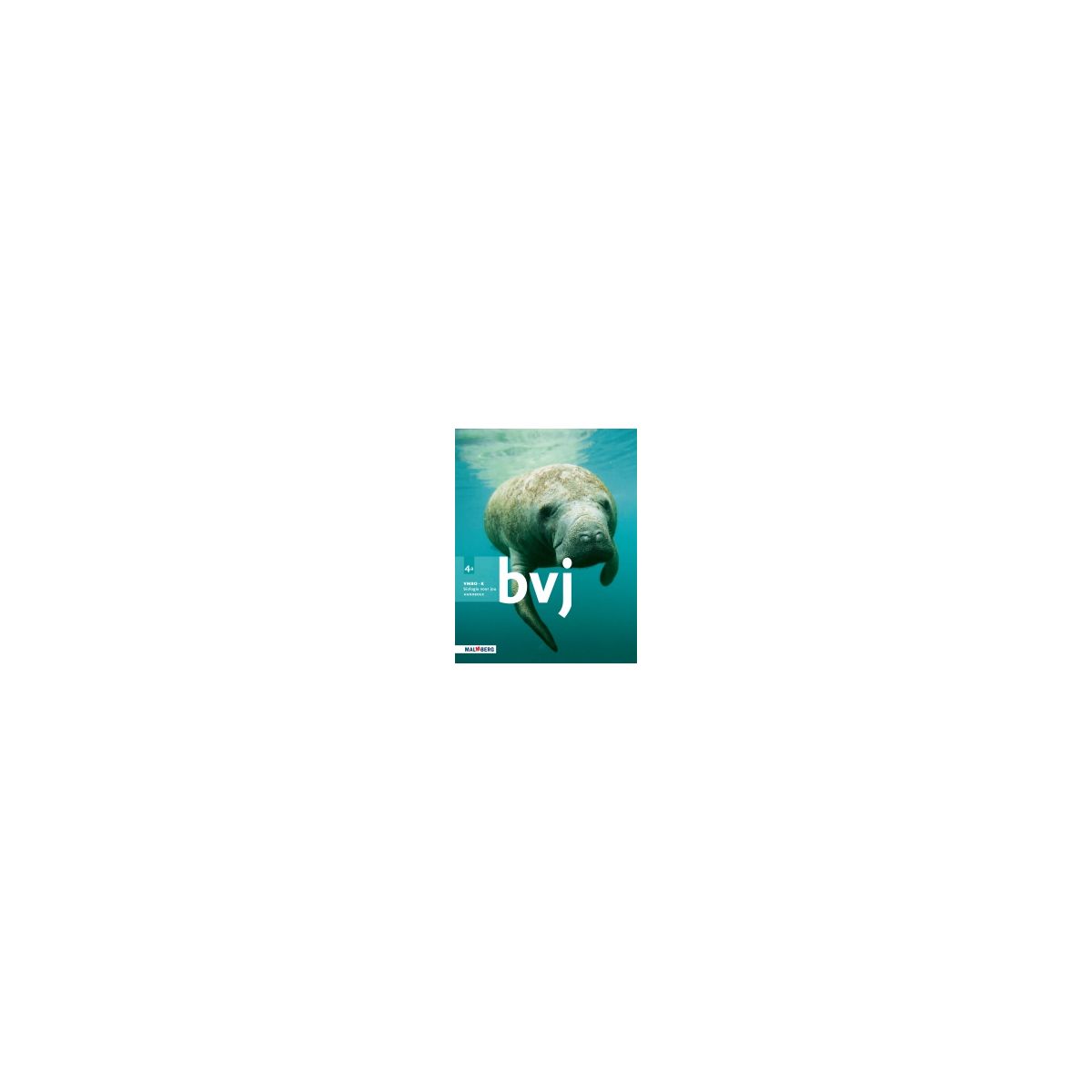 Afbeelding van BVJ 7e ed : 4 vmbo-k A : Handboek Afbeelding van BVJ 7e ed : 4 vmbo-k A : Handboek