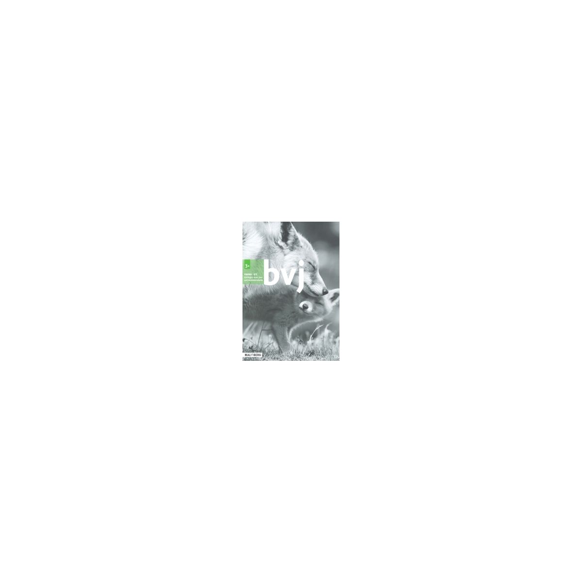 Afbeelding van BVJ 7e ed : 3 vmbo-gt A : Antwoordenboek Afbeelding van BVJ 7e ed : 3 vmbo-gt A : Antwoordenboek