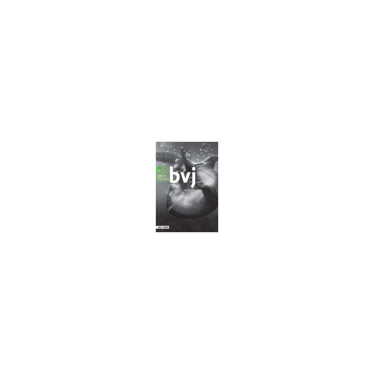 Afbeelding van BVJ 7 ed : 4 vmbo-gt B : Antwoordenboek Afbeelding van BVJ 7 ed : 4 vmbo-gt B : Antwoordenboek