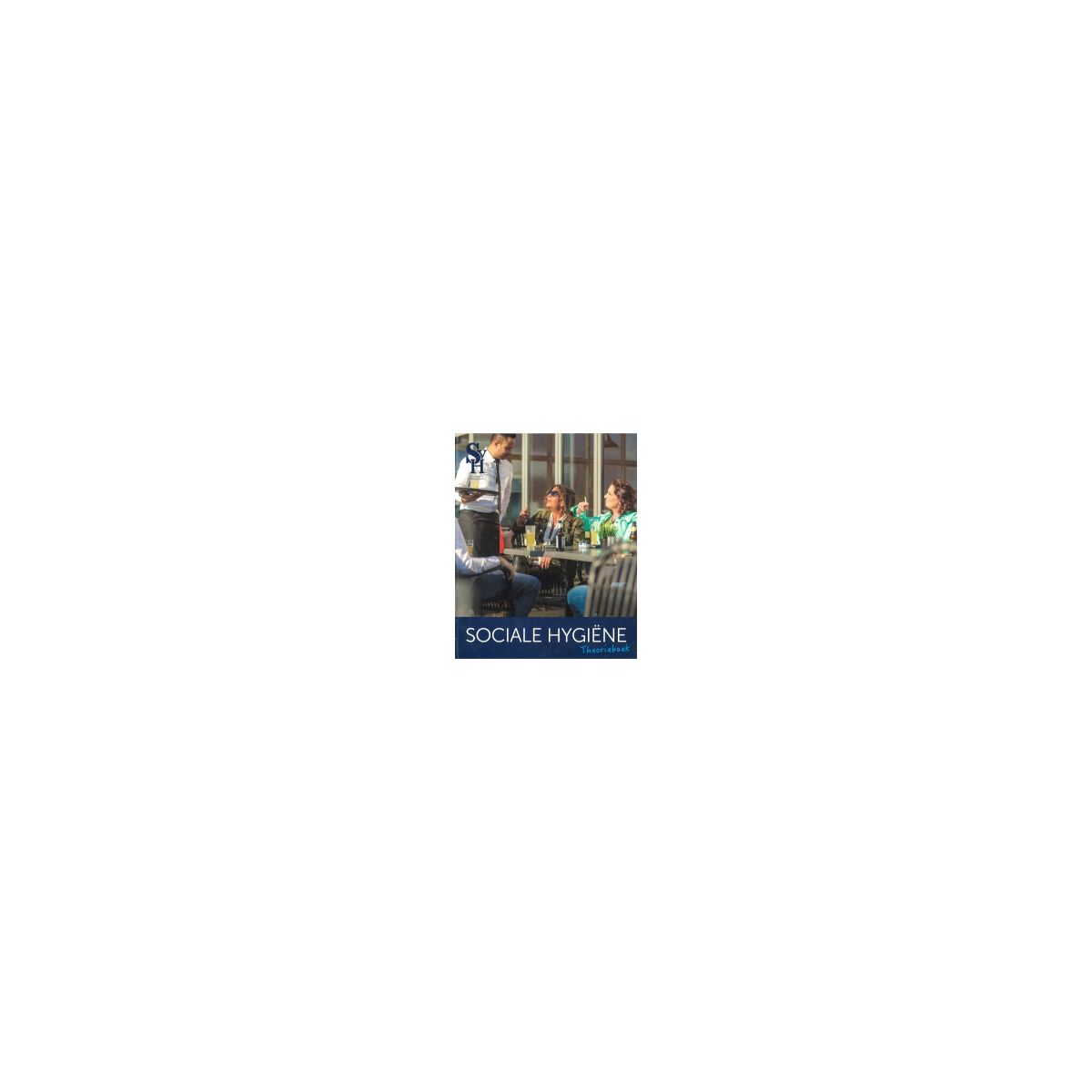 Afbeelding van Sociale hygie¨ne : Theorieboek Afbeelding van Sociale hygie¨ne : Theorieboek