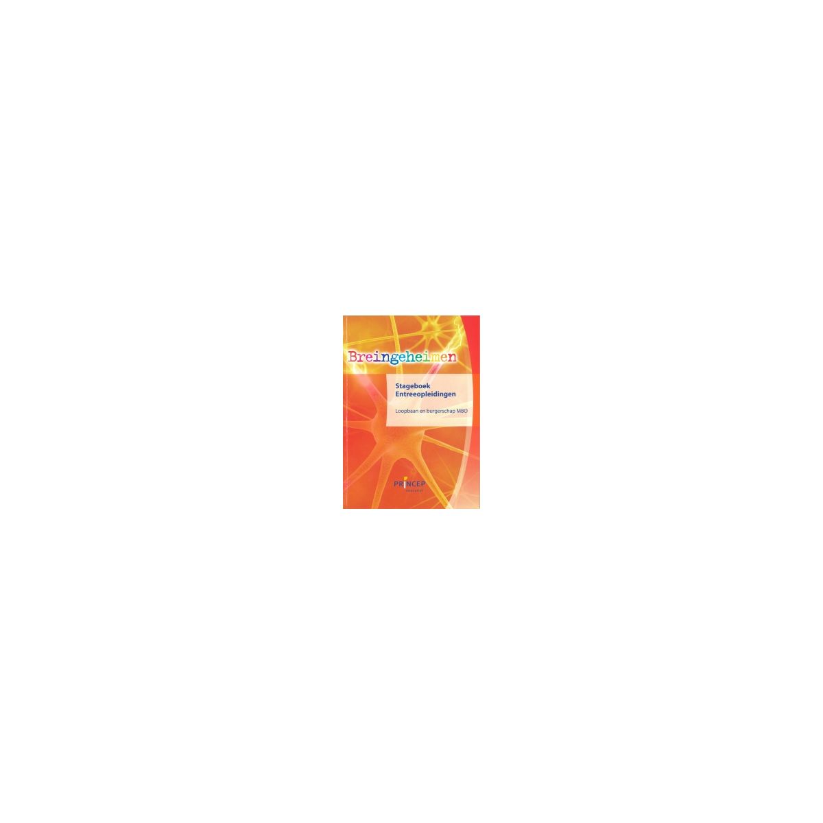 Afbeelding van Breingeheimen : mbo : Werkboek Afbeelding van Breingeheimen : mbo : Werkboek