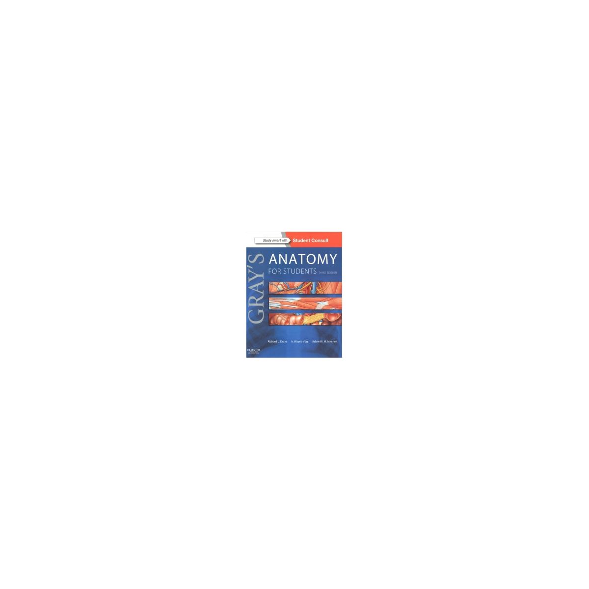 Afbeelding van Gray's anatomy for students Afbeelding van Gray's anatomy for students