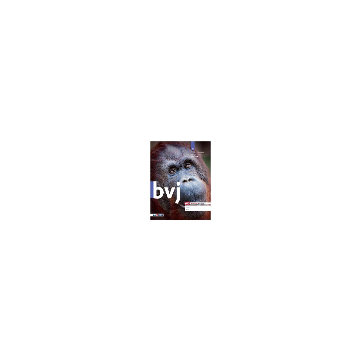 Afbeelding van BVJ 7e ed - MAX - : 1 vwo/gymnasium AB : Handboek Afbeelding van BVJ 7e ed - MAX - : 1 vwo/gymnasium AB : Handboek