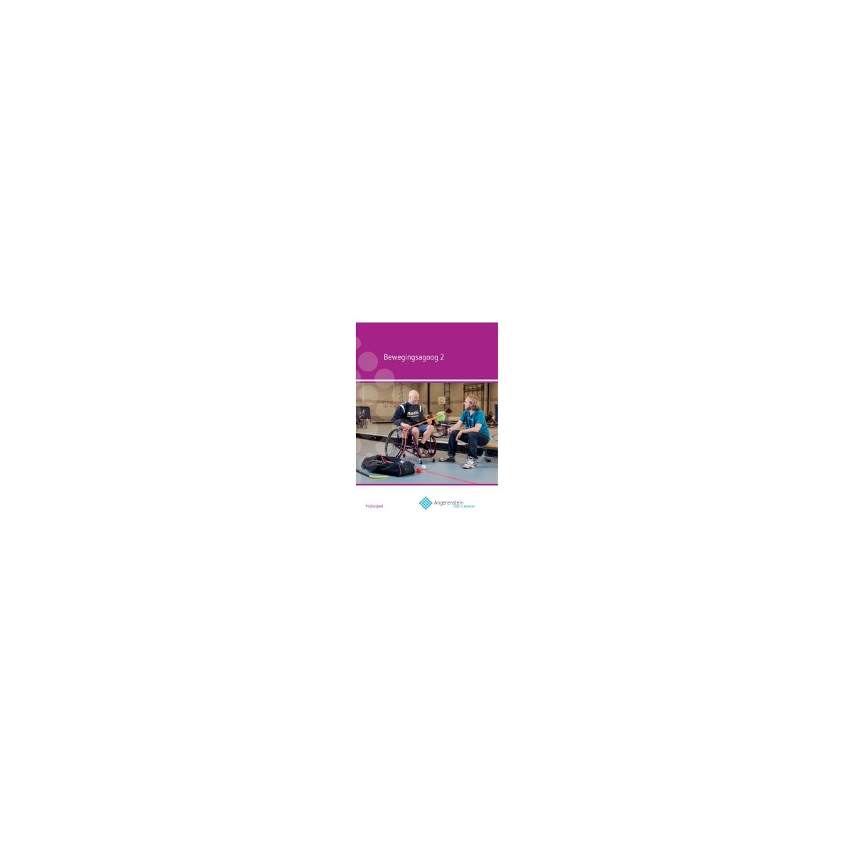 Afbeelding van Angerenstein S&B : Bewegingsagoog 2 : Basisdeel Afbeelding van Angerenstein S&B : Bewegingsagoog 2 : Basisdeel