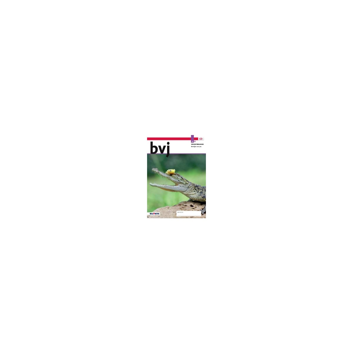 Afbeelding van BVJ - MAX - : 1 vwo/gymnasium AB : Leeropdrachtenboek Afbeelding van BVJ - MAX - : 1 vwo/gymnasium AB : Leeropdrachtenboek
